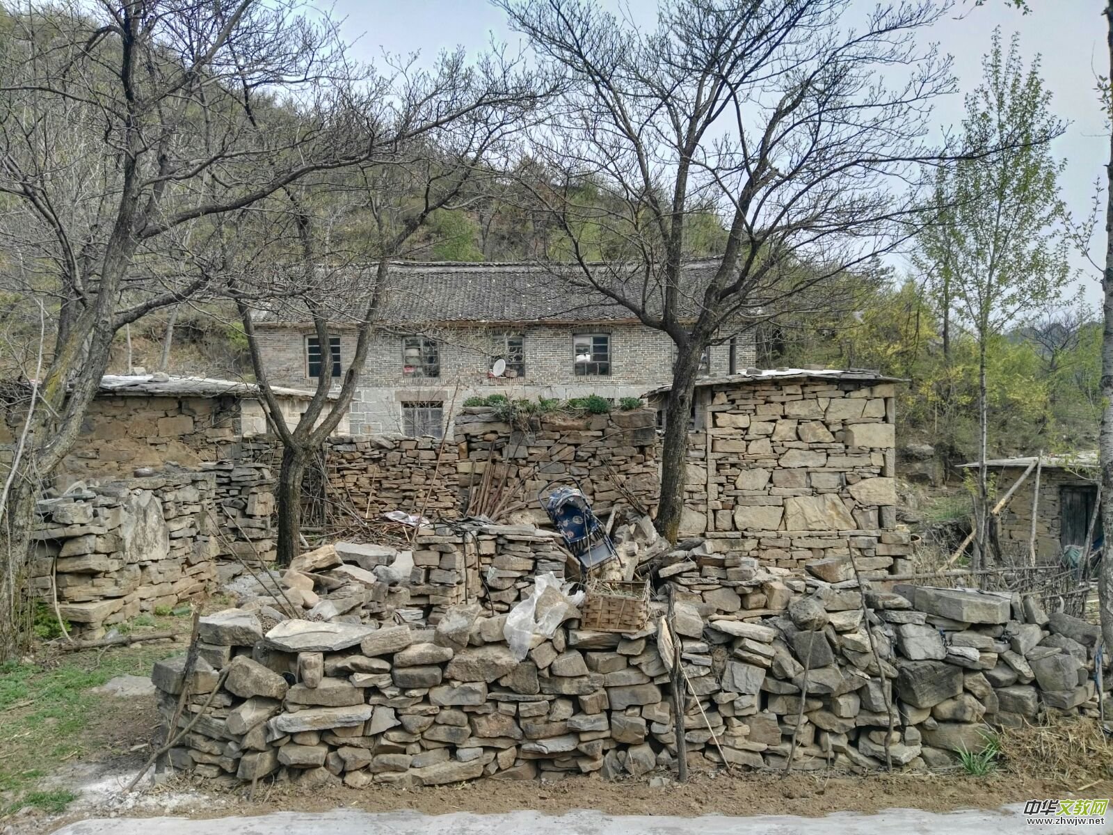 母亲,您别再骗我……靳军榆树沟写生日志 母亲,您别再骗我……靳军榆树沟写生日志