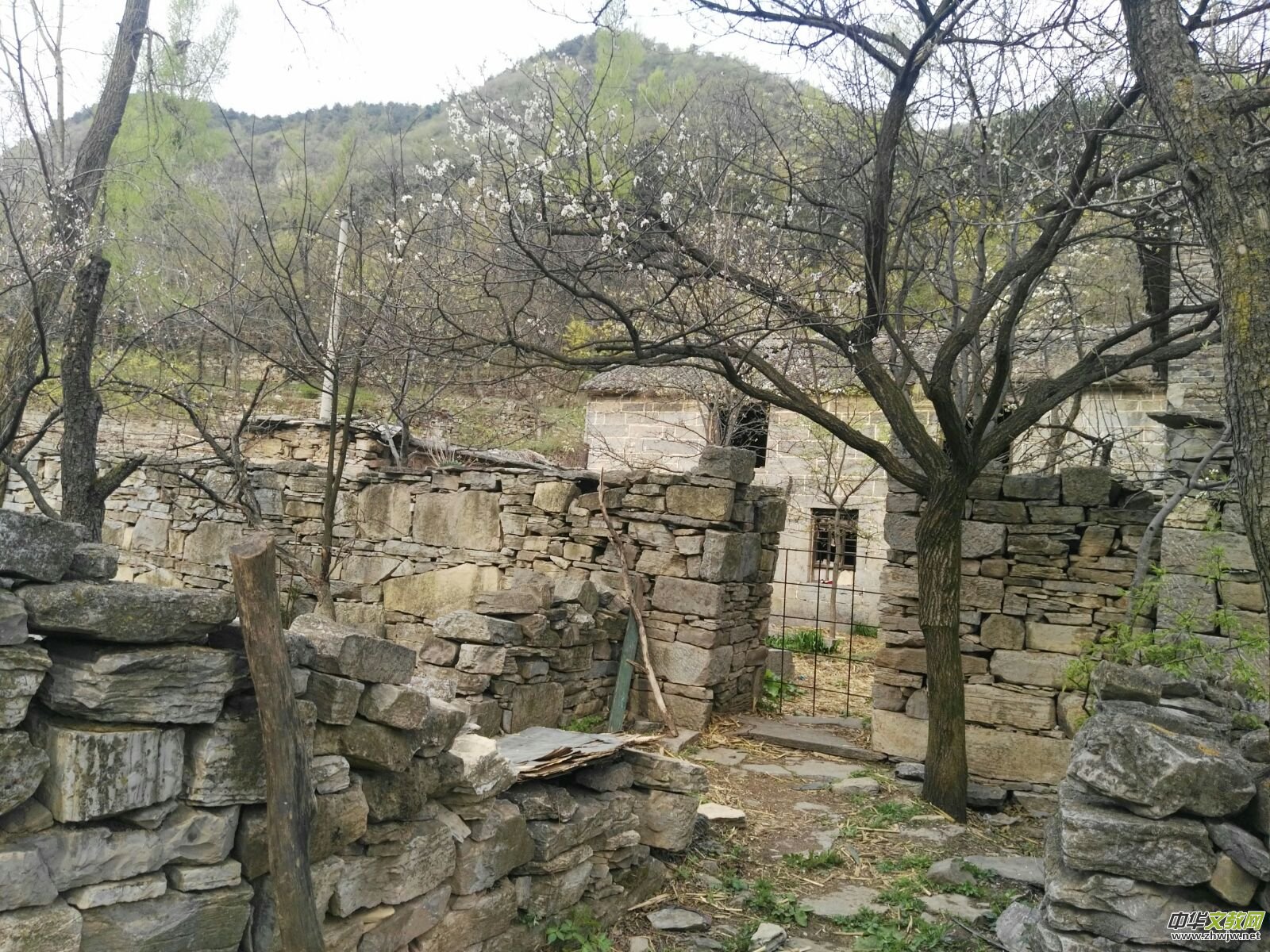 母亲,您别再骗我……靳军榆树沟写生日志 母亲,您别再骗我……靳军榆树沟写生日志