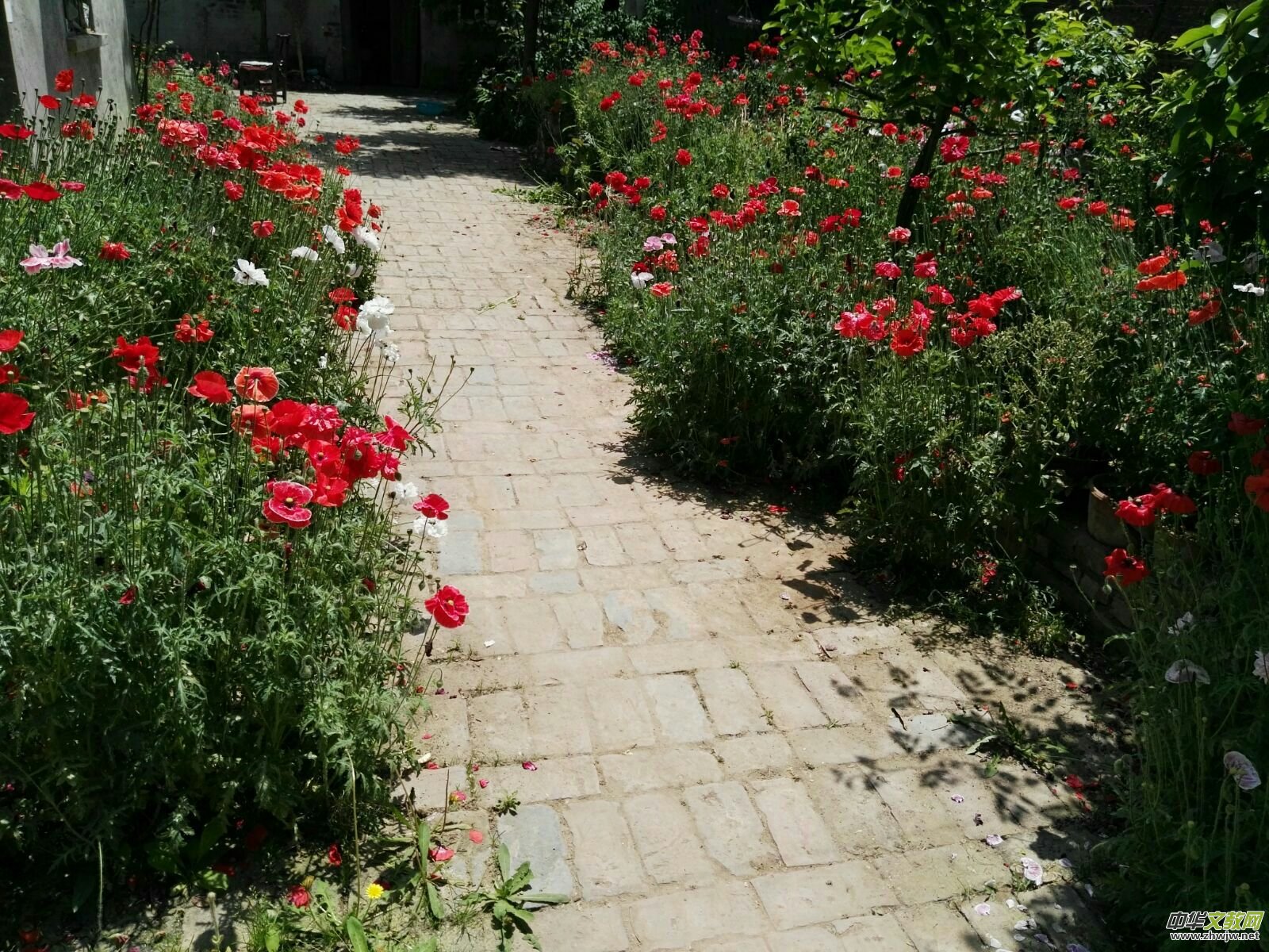 母亲,您别再骗我……靳军榆树沟写生日志 母亲,您别再骗我……靳军榆树沟写生日志