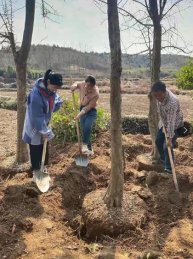 湖北省京山市实验中学开展“我为家乡添绿色”亲子植树环保志愿者活动