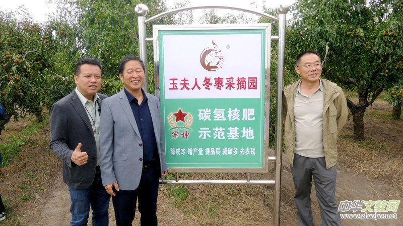 黄骅碳氢核肥冬枣基地迎丰收:增产三成零农残,绿色种植结出“放心果” 黄骅碳氢核肥冬枣基地迎丰收:增产三成零农残,绿色种植结出“放心果”