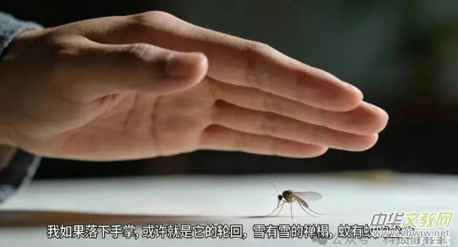 Ц����ʫ�����¶�ʮ�ŵ�����