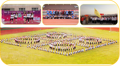 ��ʱ��:̽�����������á� ��������ɳ���������